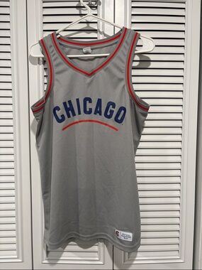 Chicago Cubs Bleacher Bum Grey Jersey with Blue & Red Trim